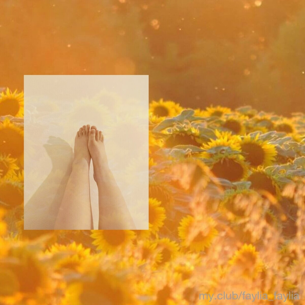 💫 faylia Free Photos #9
