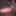 My Hard Cock (Easter) April 21 2025 #19