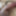 Meine Bilder