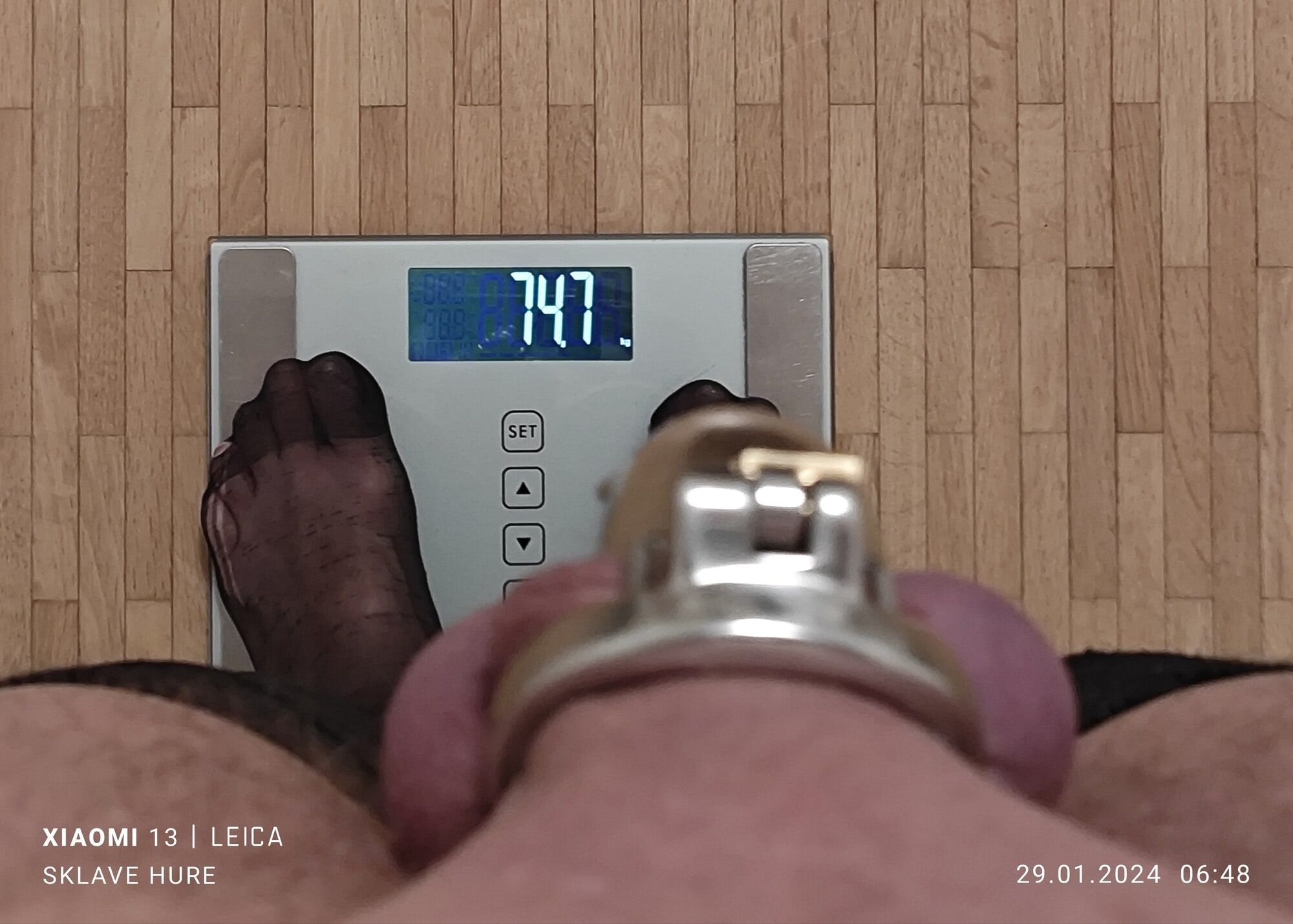 Mandatory weighing cagecheck January 29, 2024 #13