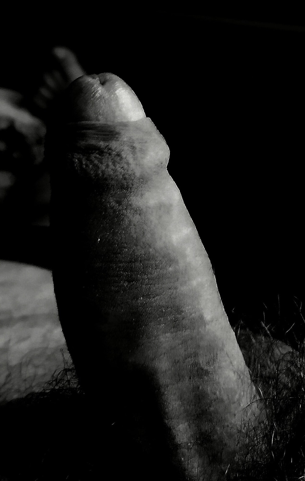 My cock