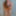 Cumslut forever 21 #8