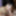 Latina coed Sophia is blowing a geek