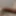 My cock that day - 16.05.2018