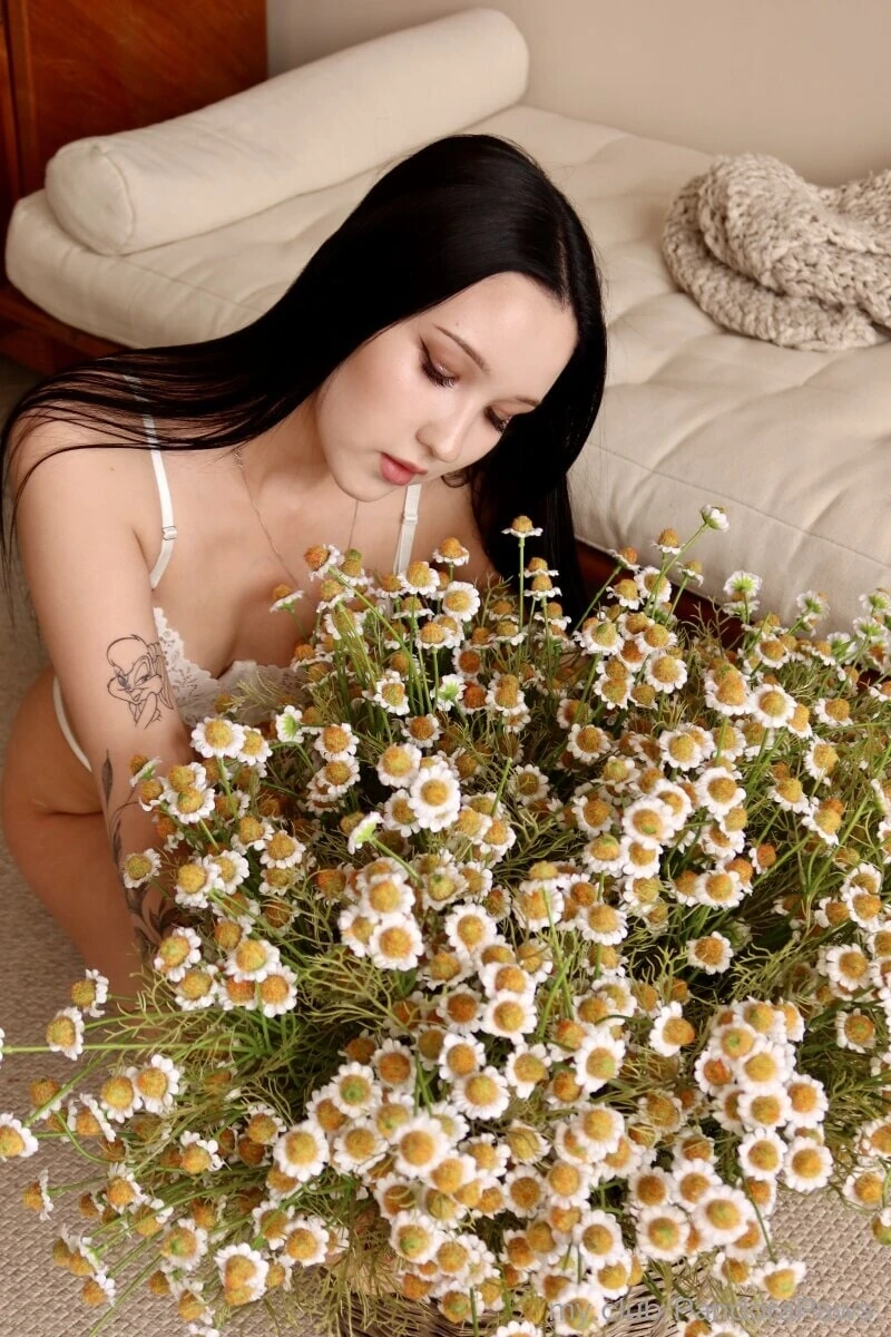 Hello! I am Pandora! Free Photos #3