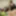 Airi Mashiro :: Buried In Her Ass Vol.8 - CARIBBEANCOM #4