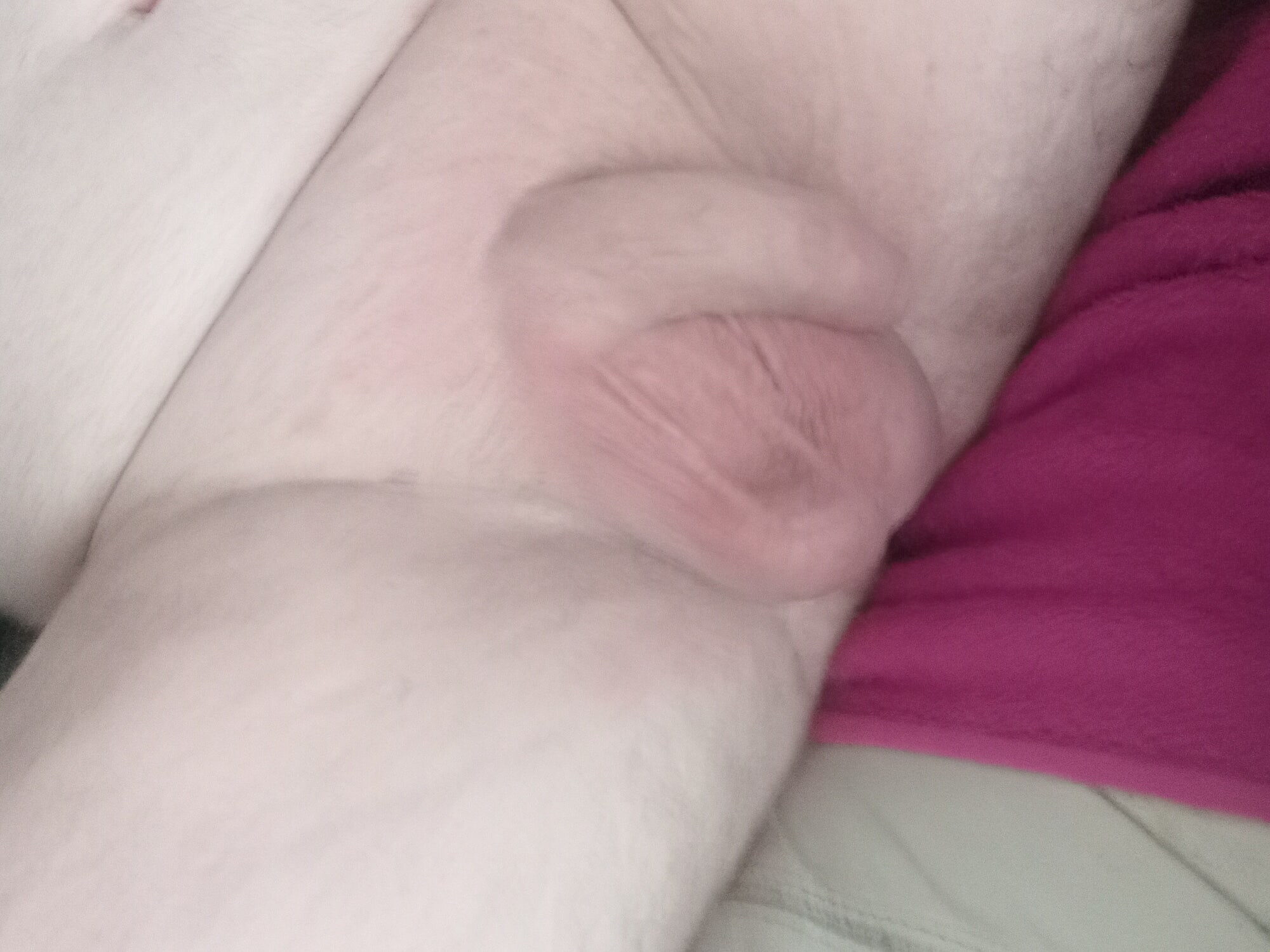 Shaven #14