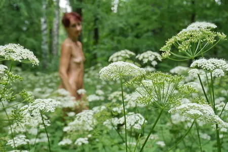 in white flowers           