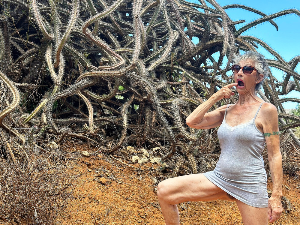 Photos from Hawaii  #56