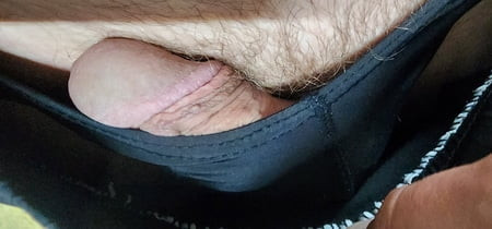 Penis