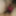 Sexy BBW Gets Fucked and Dildo #5