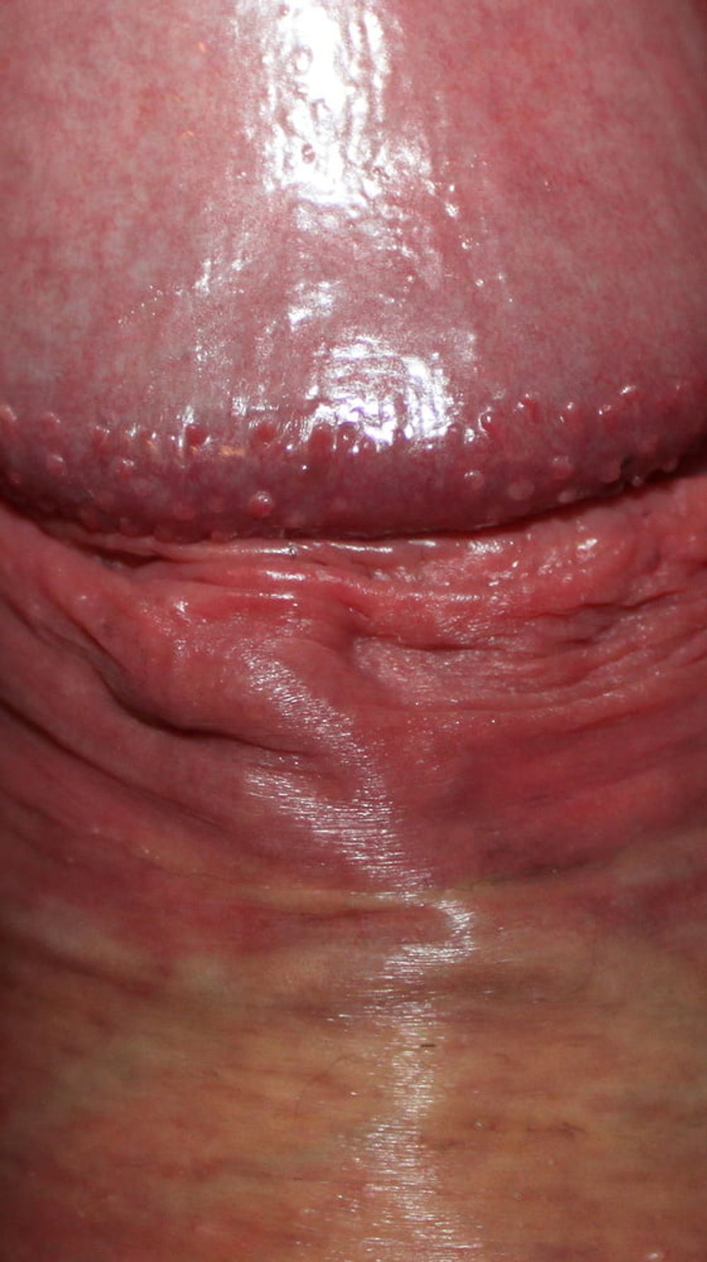 Close up dick #35