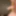 My dick pics