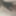 Mein Penis nochmal anders