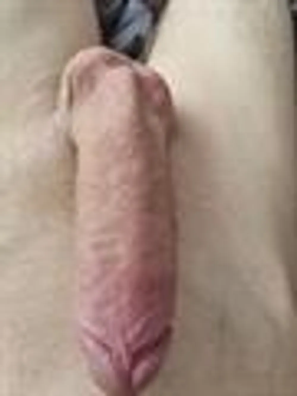 M y big cock #5