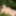 Natur