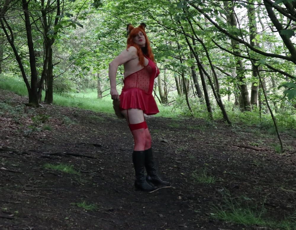 Would you like to hunt and catch this naughty little fox? #10