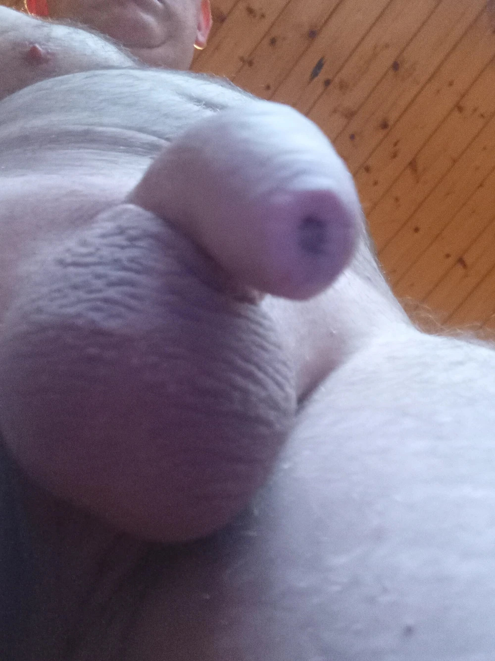 Shaven #5