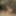 My dick 