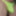Oiled Bulge in yellow briefs #6