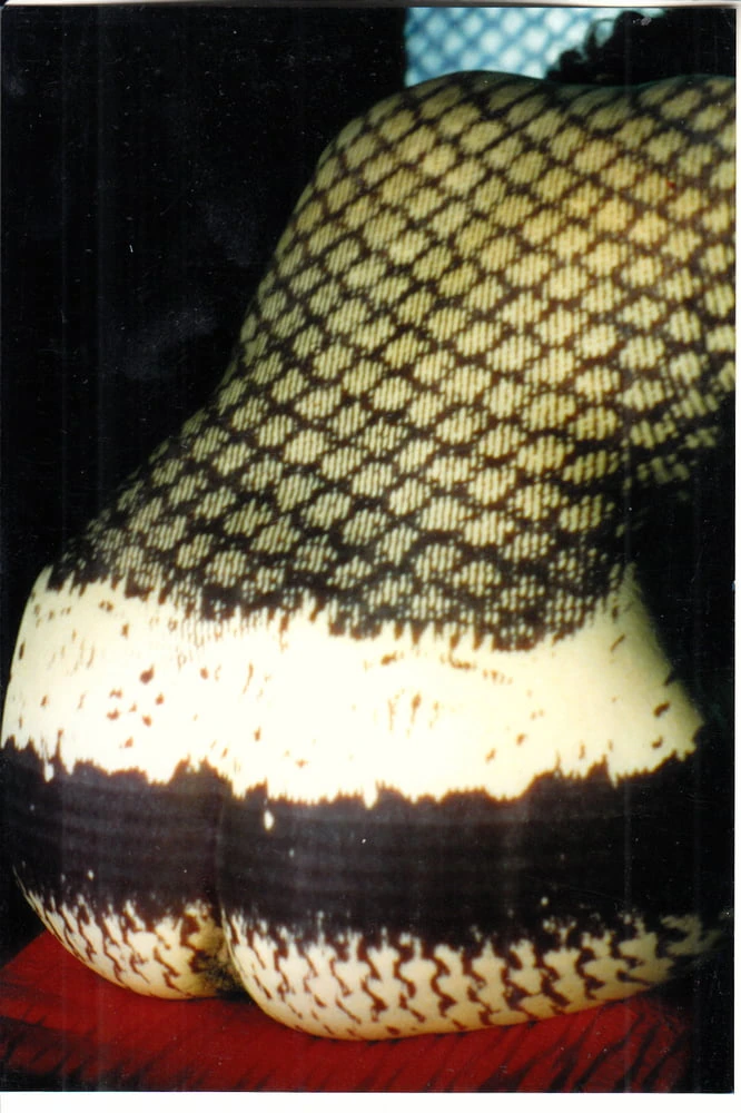 Nylon stockings in the late nineties #20