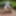 Muslim milf goes for a walk in the park and shows herself i