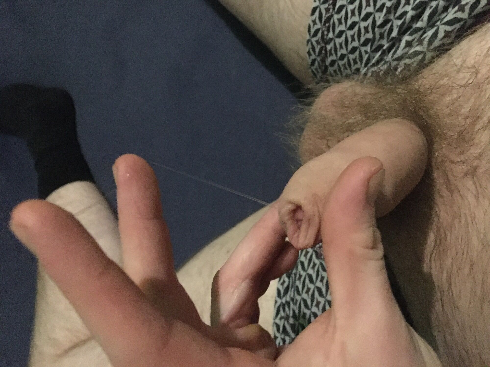 Hairy Dick And Balls Foreskin Pre-cum Play #56