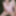 Crossdressing juniper beri in pink