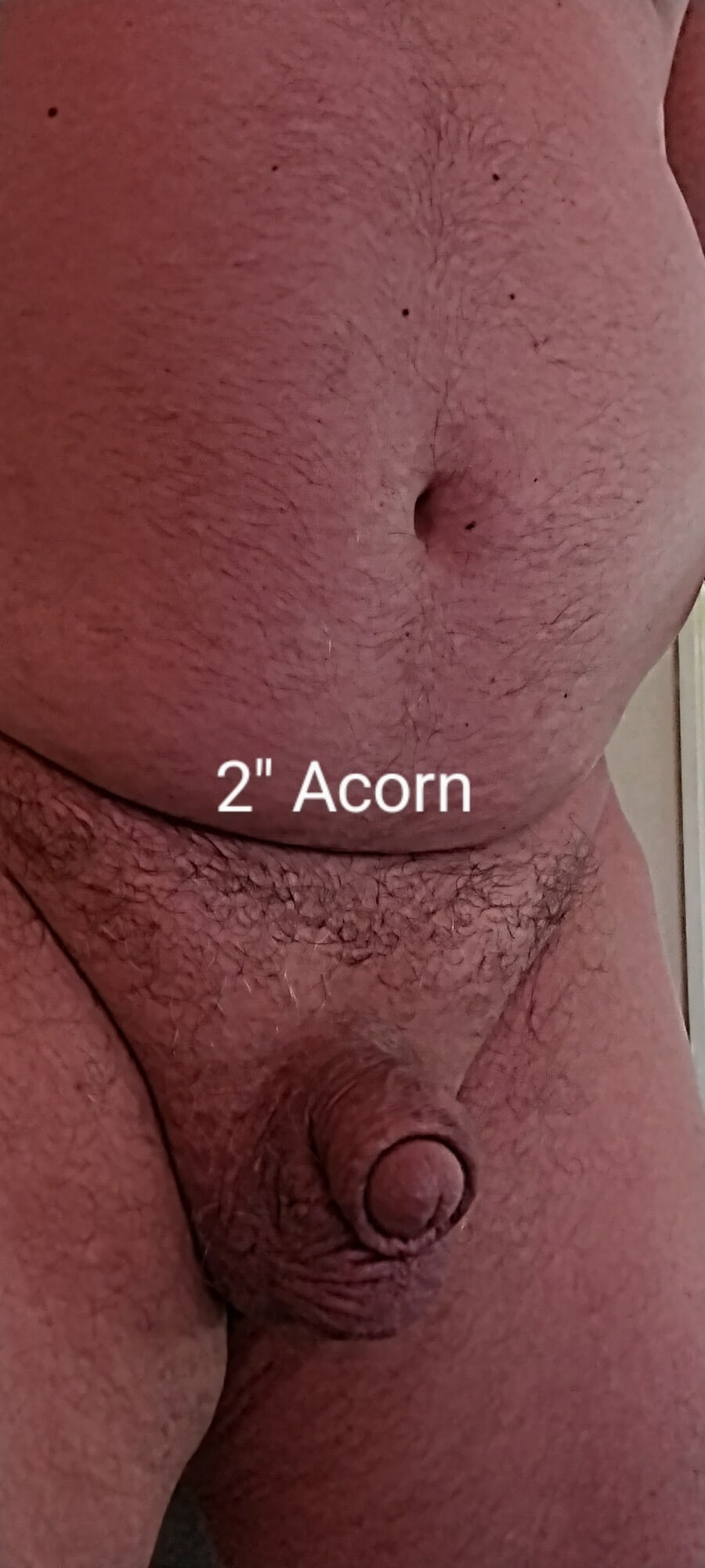 Grandpa showing acorn to mighty oak in one hour #4