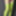 Green Mesh Lingerie #38