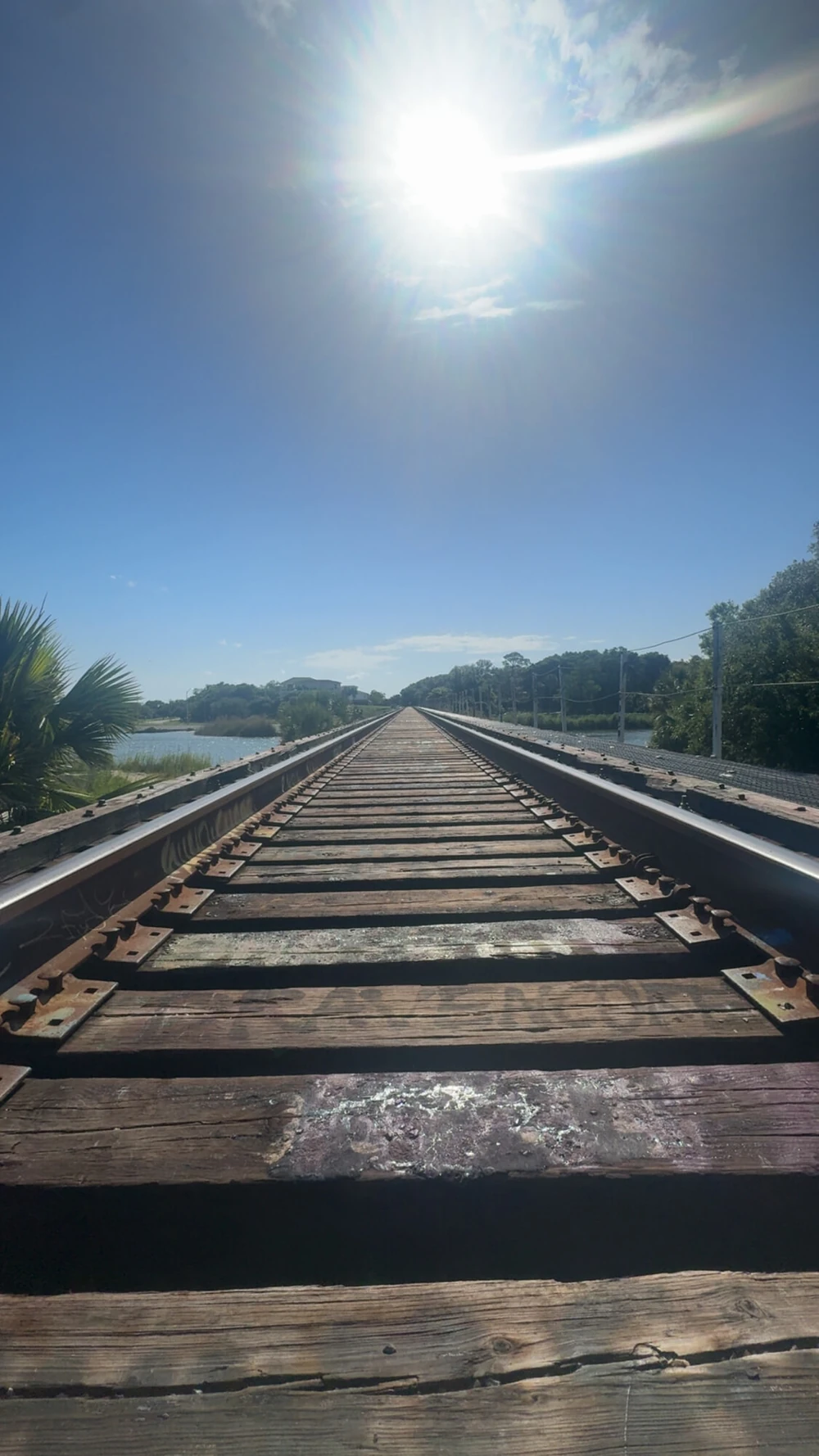 Daytime adventure #4