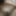 Hairy pussy for 3 months  gallery 