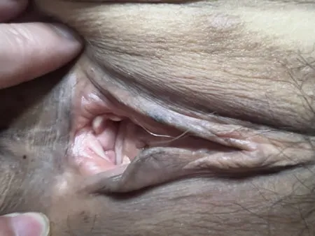 wife pussy close up           