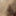 Lily Leigh's Intimate Playtime #6 (Part 1 of 2) #17