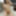 Asian babe sucks until I cum for her #29