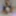 Ücretsiz Tamoki Fotoğrafları