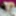 Alisya JC weekly photos №1 #5
