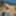 Flroian Johannes Mueller nude at the beach #28