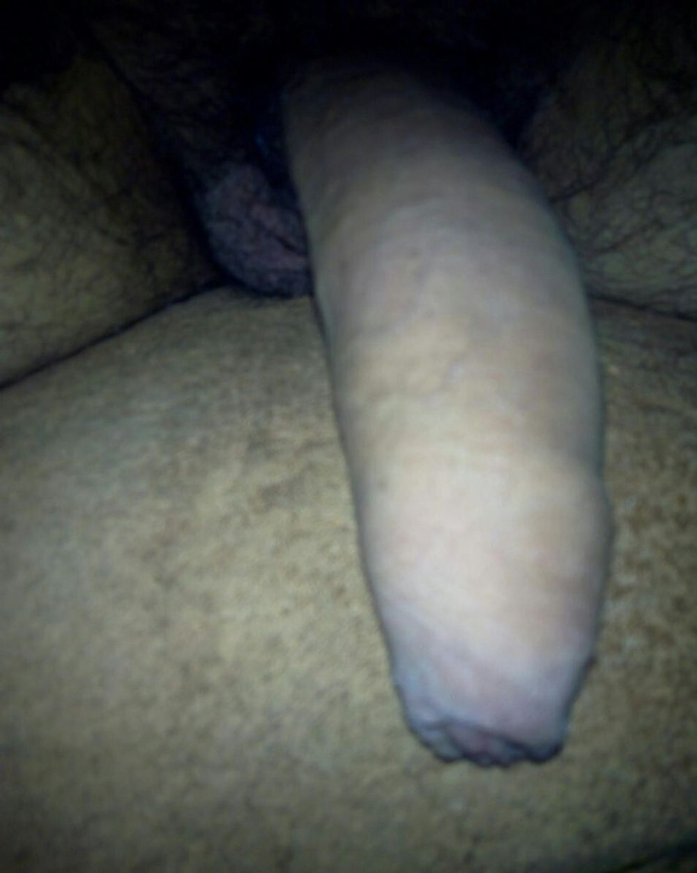  Dick Pics {Hairy}II  #10