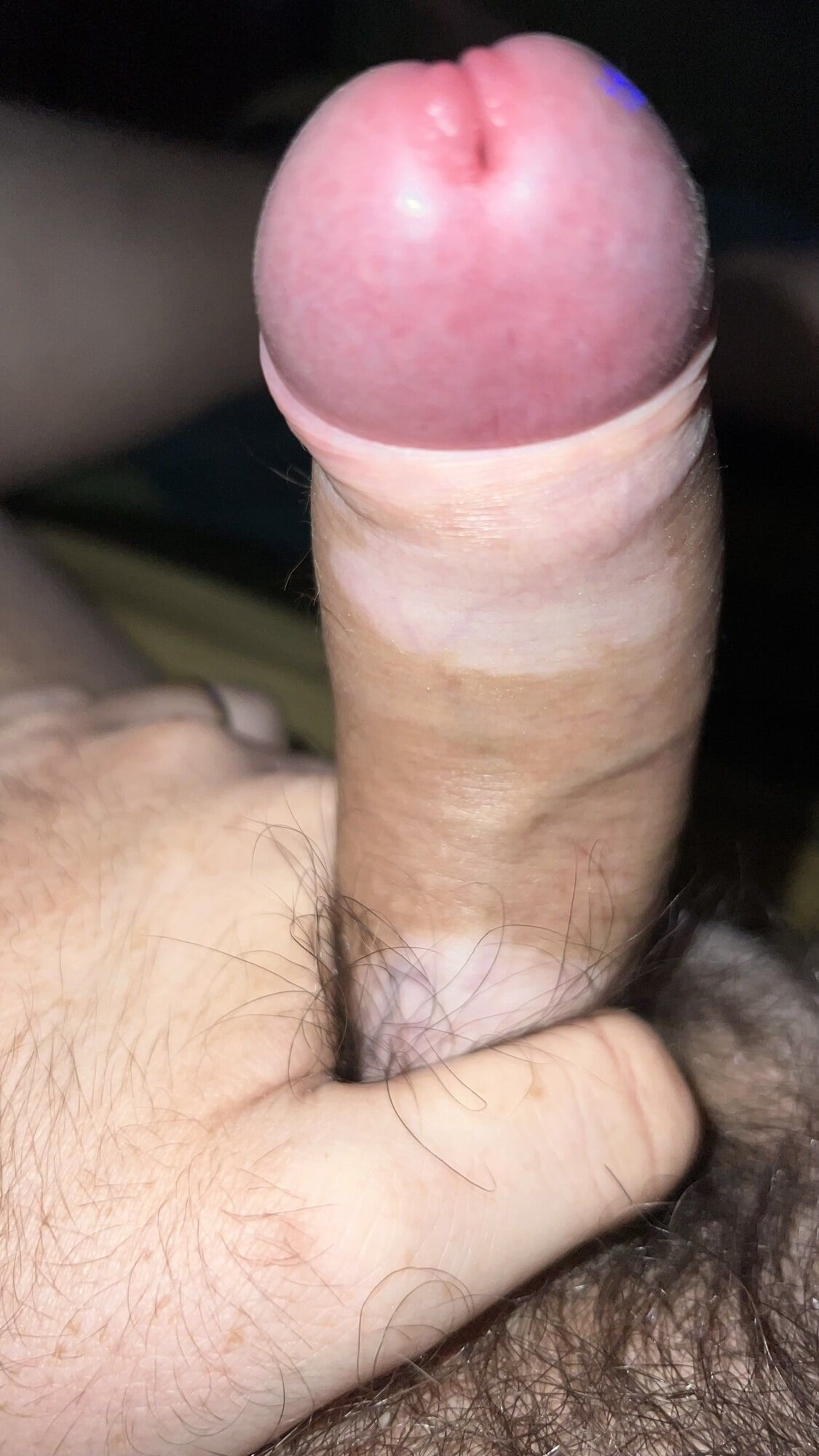 Cock #6