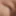 Robert&#039;s 4 Inch Dick