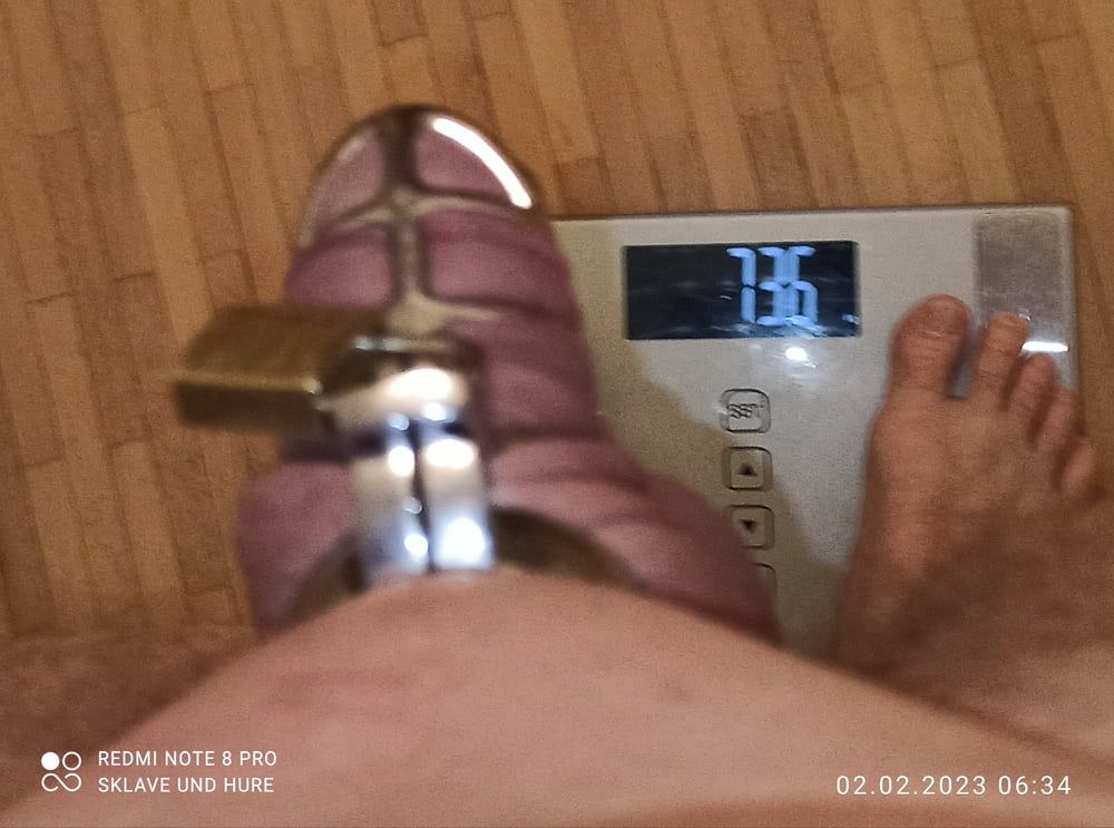 weighing, nippletorture and cagecheck of 02.02.2023 #13