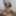 Sissfied Anal PAWG Beautiful Face of a Sissifed Bimbo Slut #20