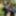 One Day with Andres ZP #7