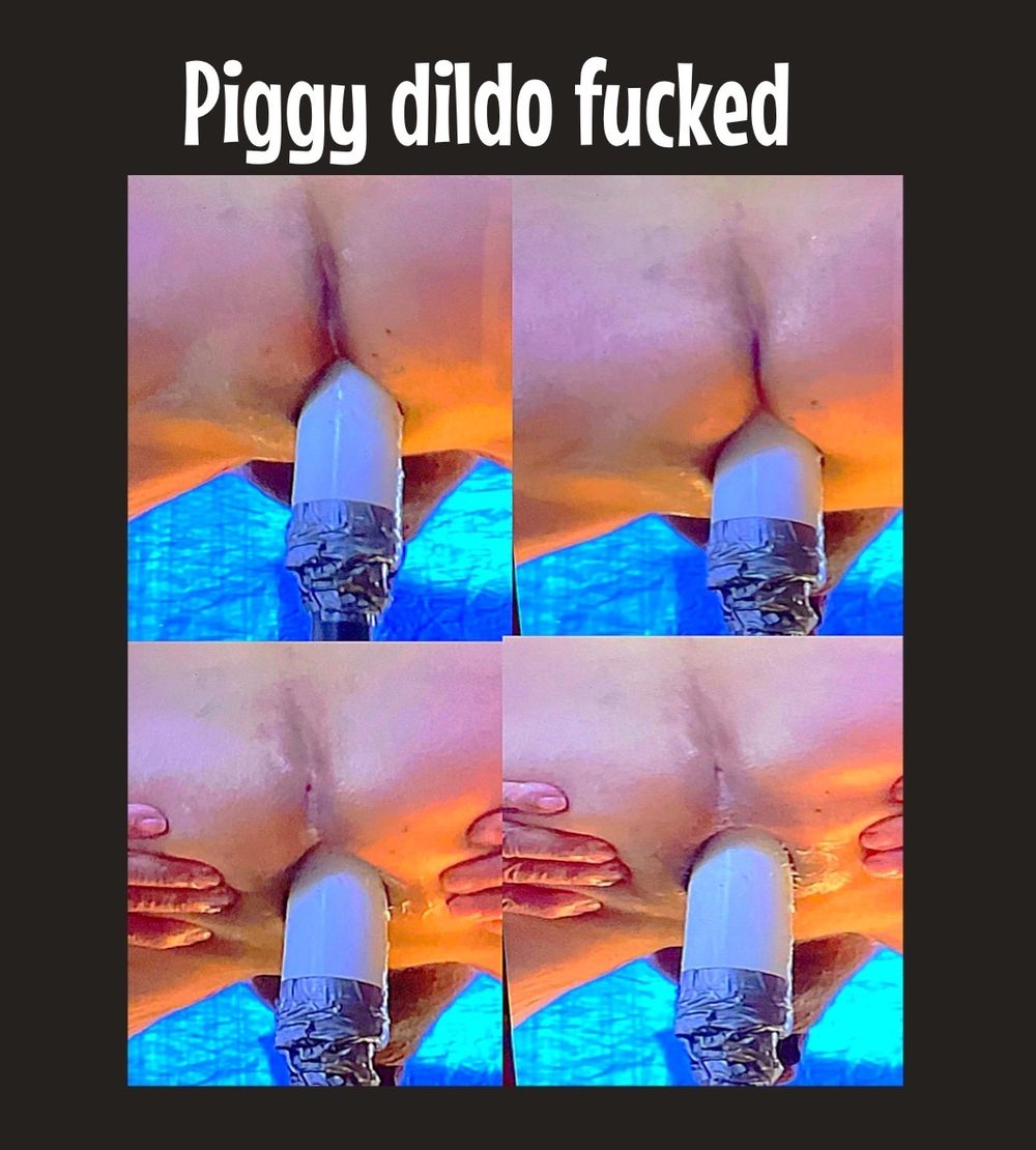 Piggy