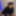 Coco_Cuban🇨🇺 Free Photos #9