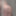 Veritapie Free Photos #10