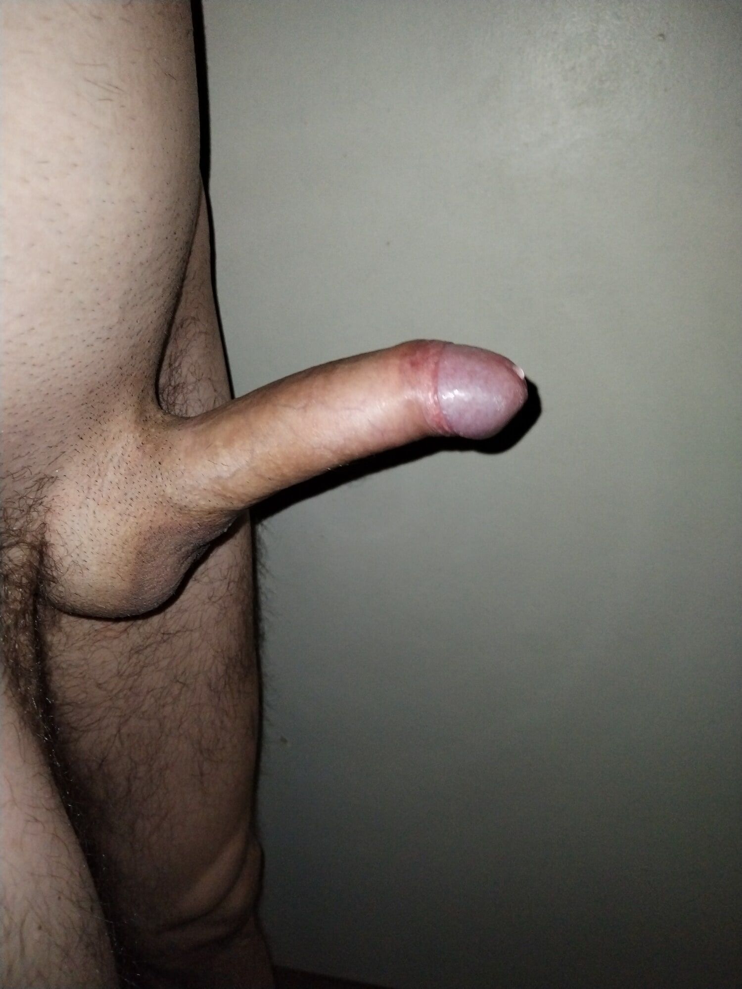 My clean shaved dick  #2