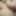 A Heavy Load Of Cum On Massive Tits After A Sloppy Blowjob