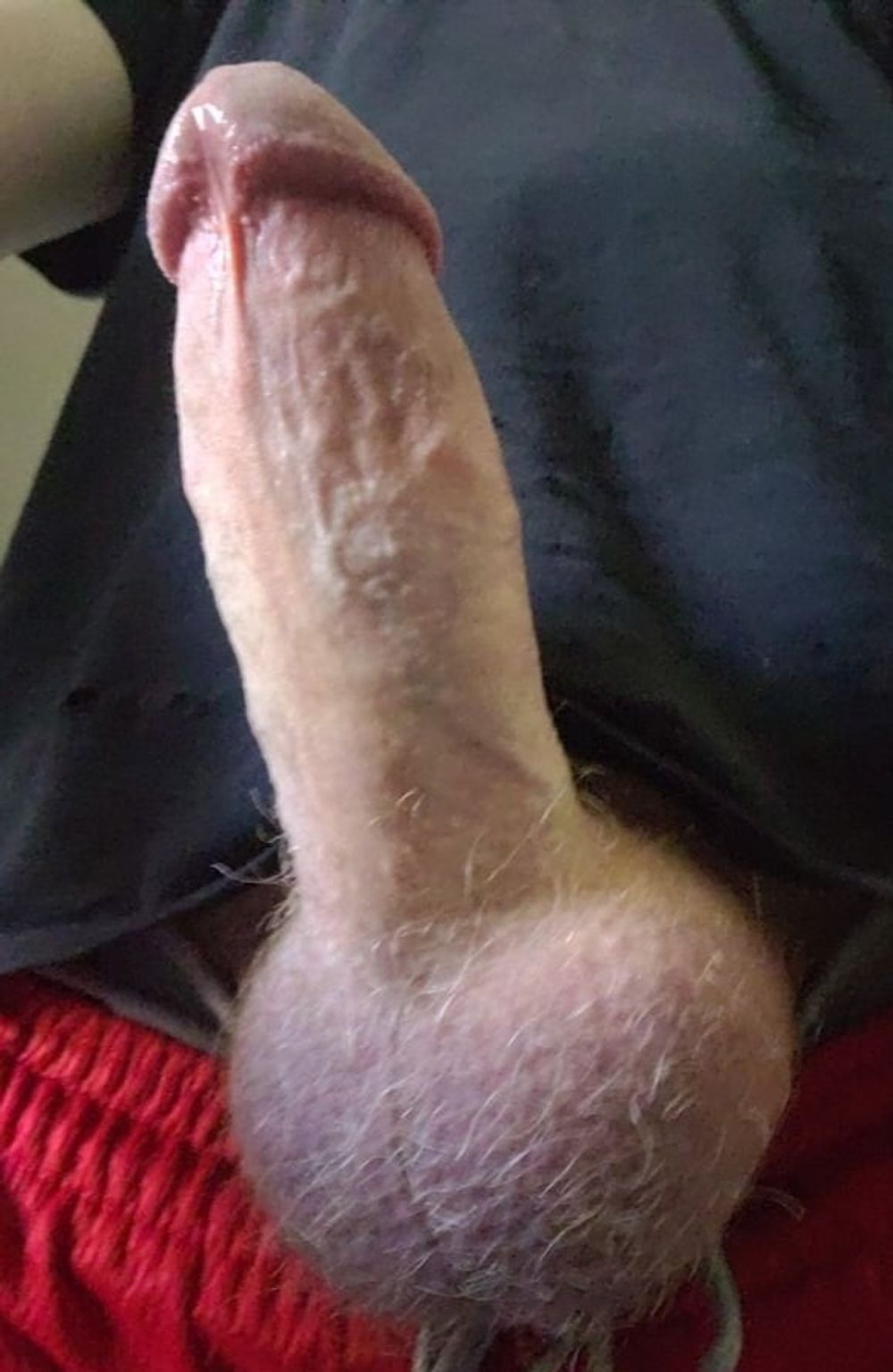 Hard cock